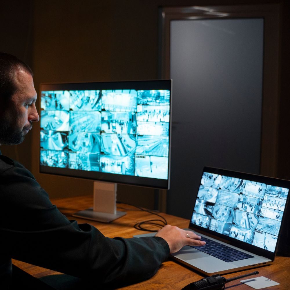 Seguridad electronica